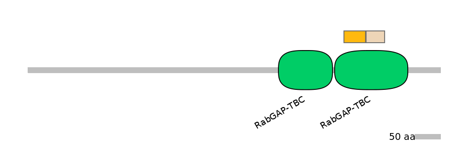 HsaINT0163975-EXC