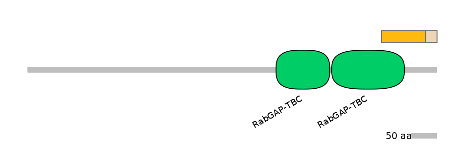 HsaINT0163977-EXC
