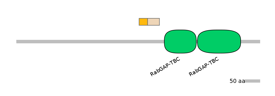 HsaINT0163980-EXC