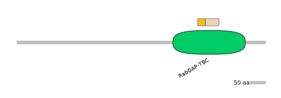 HsaINT0163985-EXC