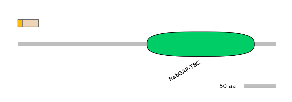 HsaINT0163986-EXC