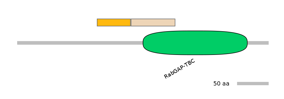HsaINT0163994-EXC