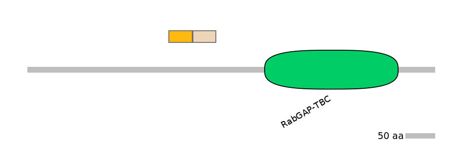 HsaINT0164005-EXC