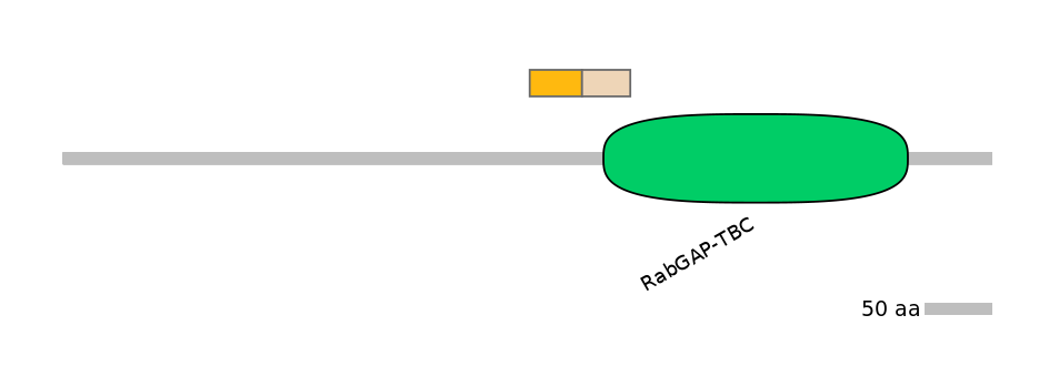 HsaINT0164008-EXC