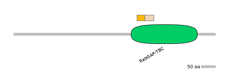 HsaINT0164010-EXC