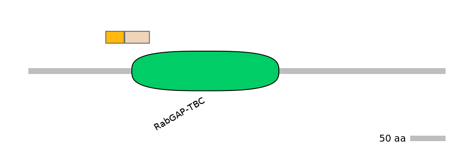 HsaINT0164207-EXC