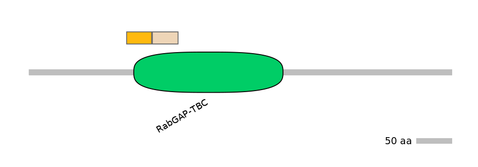 HsaINT0164208-EXC