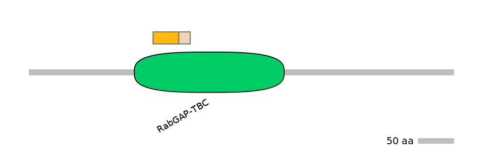 HsaINT0164209-EXC