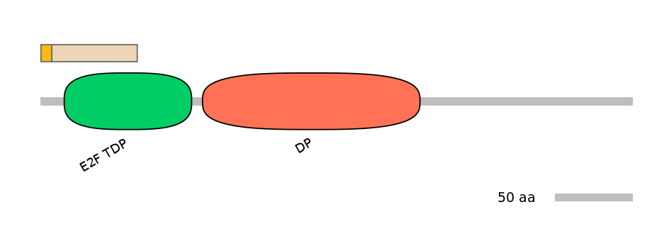 HsaINT0166127-EXC