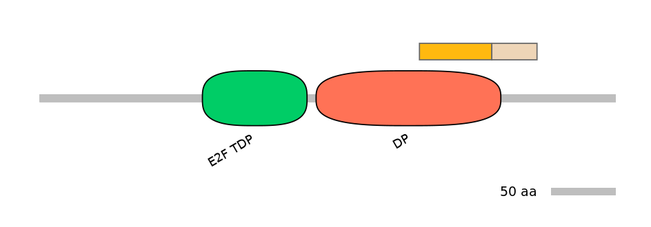 HsaINT0166149-EXC