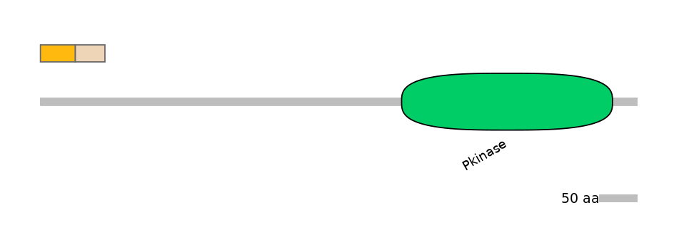 HsaINT0167539-EXC