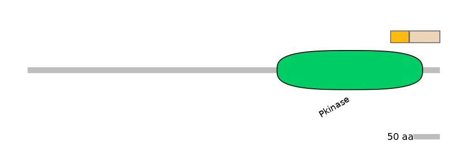 HsaINT0167551-EXC