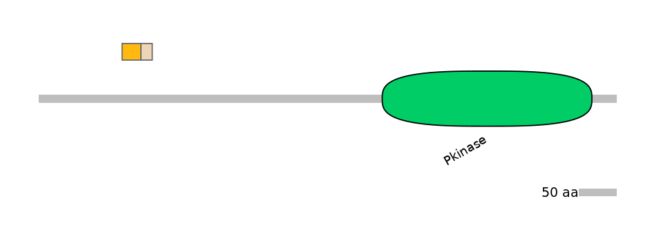 HsaINT0167553-EXC