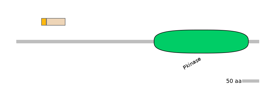 HsaINT0167559-EXC