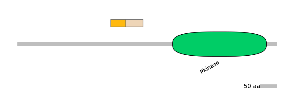HsaINT0167562-EXC