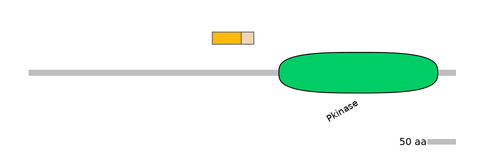 HsaINT0167563-EXC