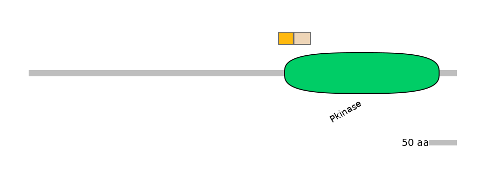 HsaINT0167566-EXC