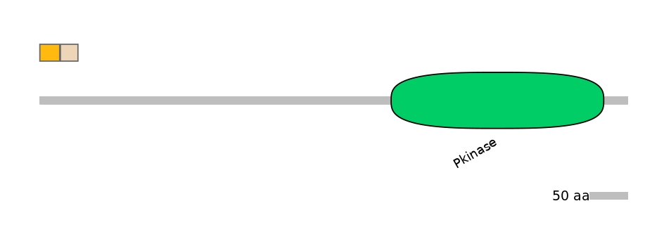 HsaINT0167571-EXC