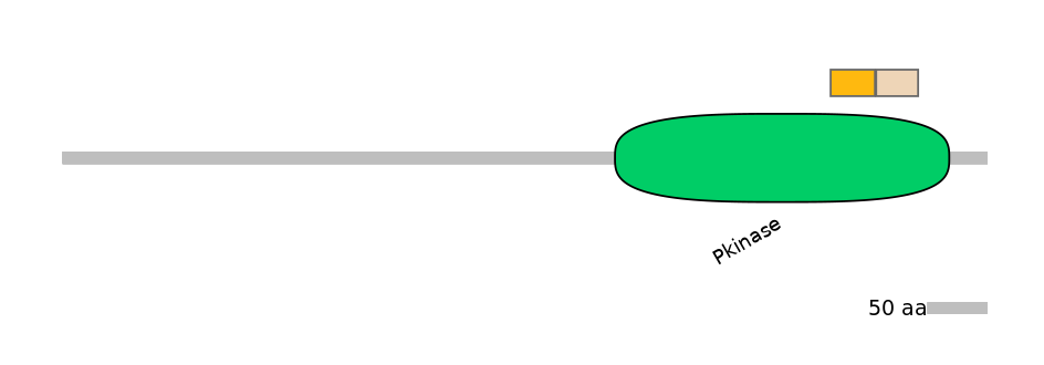 HsaINT0167572-EXC