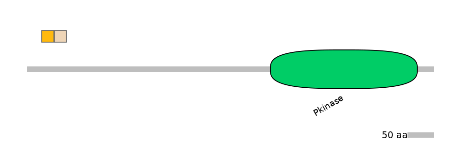 HsaINT0167574-EXC