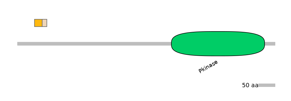 HsaINT0167575-EXC