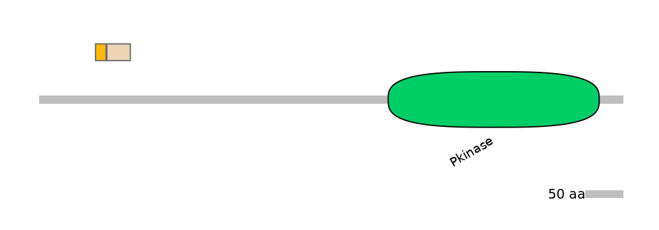 HsaINT0167576-EXC