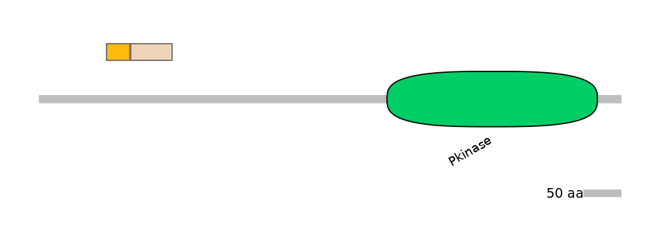 HsaINT0167577-EXC