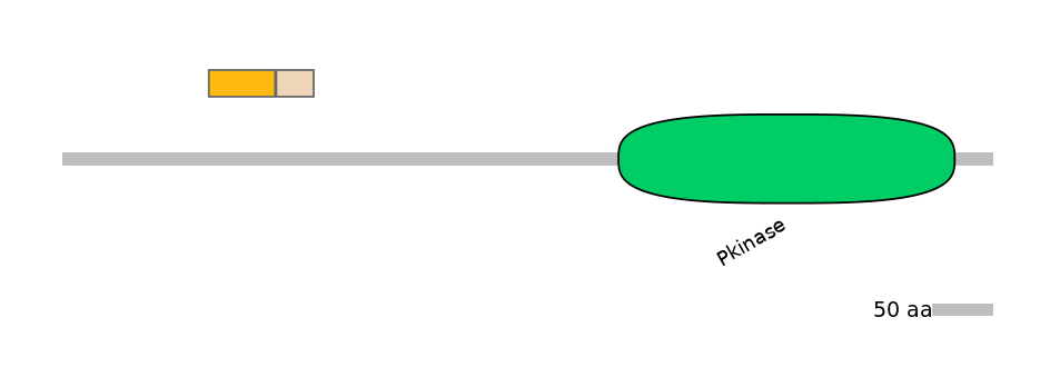 HsaINT0167578-EXC