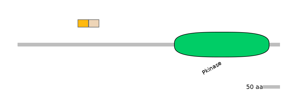 HsaINT0167579-EXC