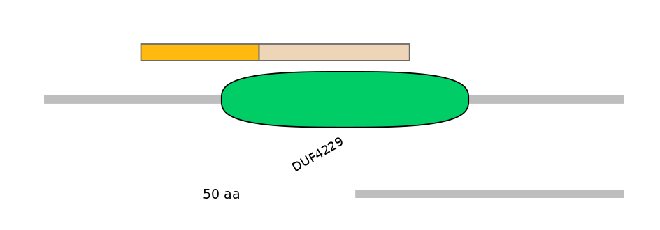 HsaINT0168488-EXC