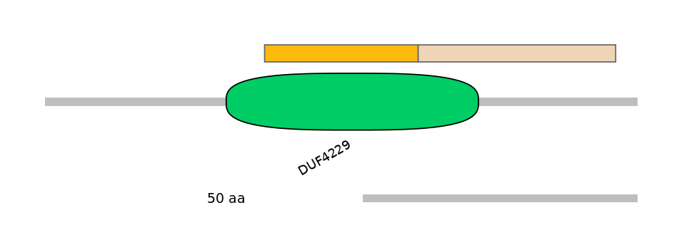 HsaINT0168489-EXC