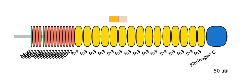HsaINT0169908-EXC