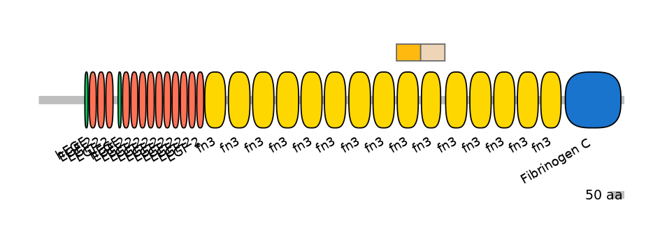 HsaINT0169912-EXC