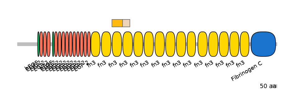 HsaINT0169931-EXC