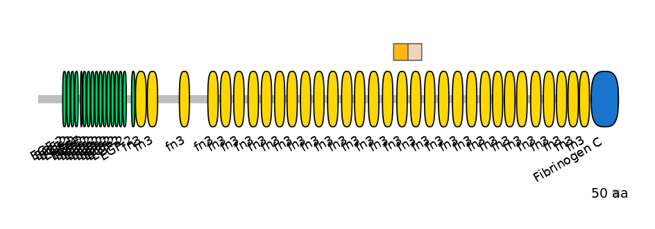 HsaINT0170729-EXC