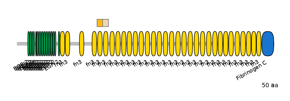HsaINT0170730-EXC