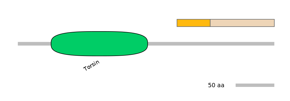 HsaINT0171007-EXC
