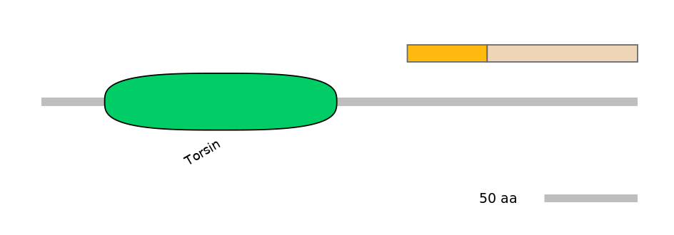 HsaINT0171028-EXC