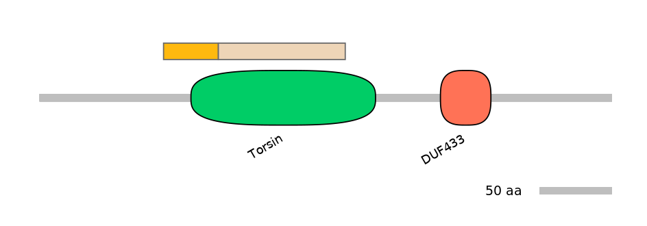 HsaINT0171033-EXC