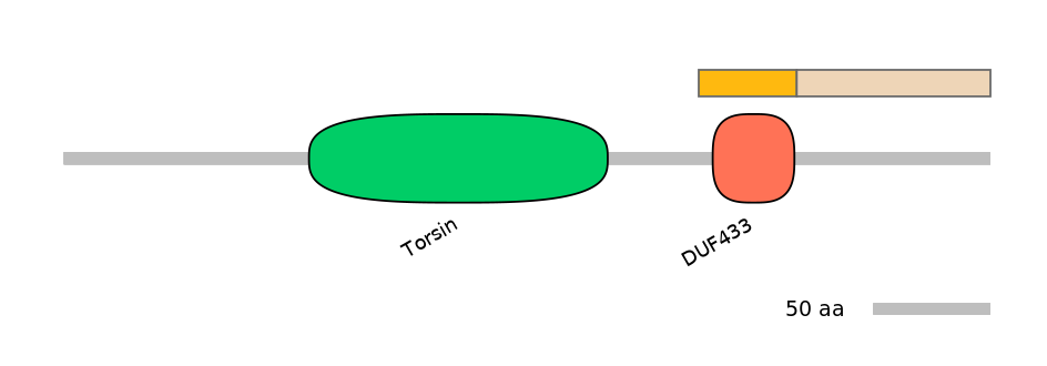 HsaINT0171036-EXC