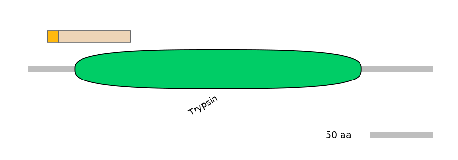 HsaINT0171534-EXC