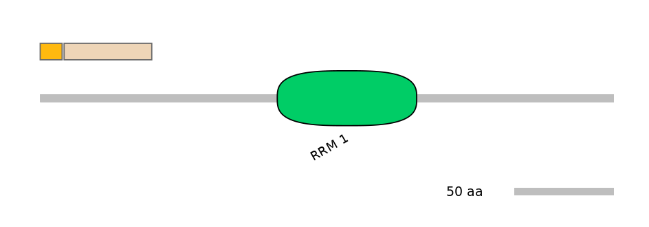 HsaINT0171648-EXC