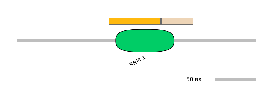 HsaINT0171651-EXC