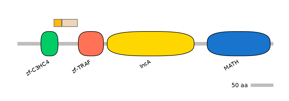 HsaINT0171693-EXC