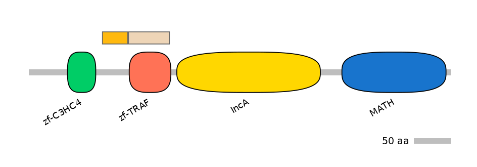 HsaINT0171694-EXC