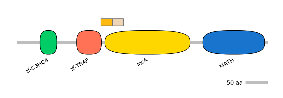HsaINT0171696-EXC
