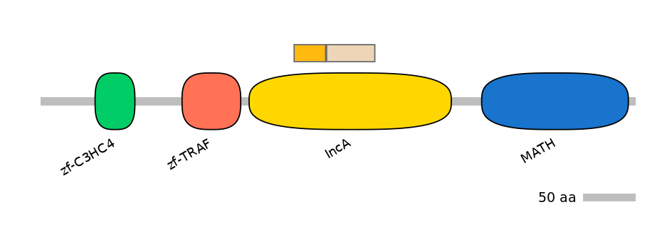 HsaINT0171698-EXC