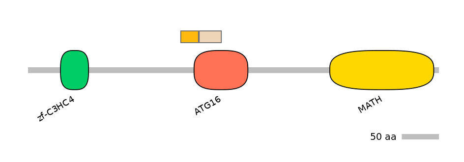 HsaINT0171756-EXC