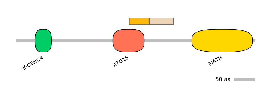 HsaINT0171758-EXC