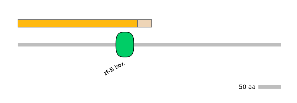 HsaINT0172257-EXC